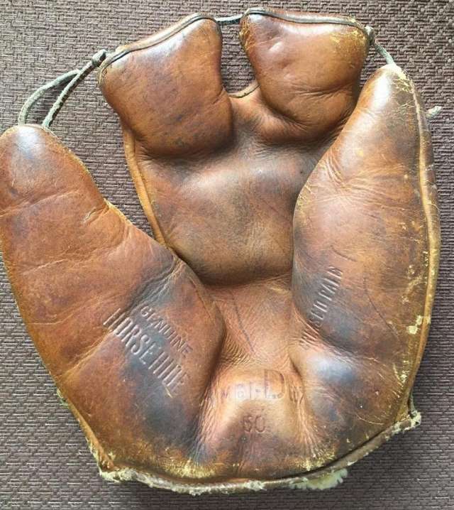Ambidextrous 50 Glove Front